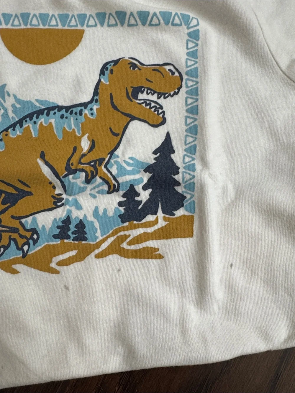 Old Navy Cream Dino Graphic Tee with Carters Navy Shorts